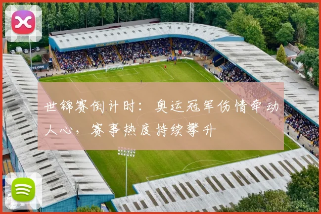 世锦赛倒计时：奥运冠军伤情牵动人心，赛事热度持续攀升