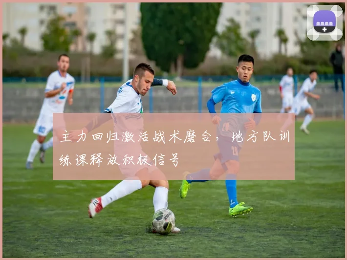 主力回归激活战术磨合，地方队训练课释放积极信号